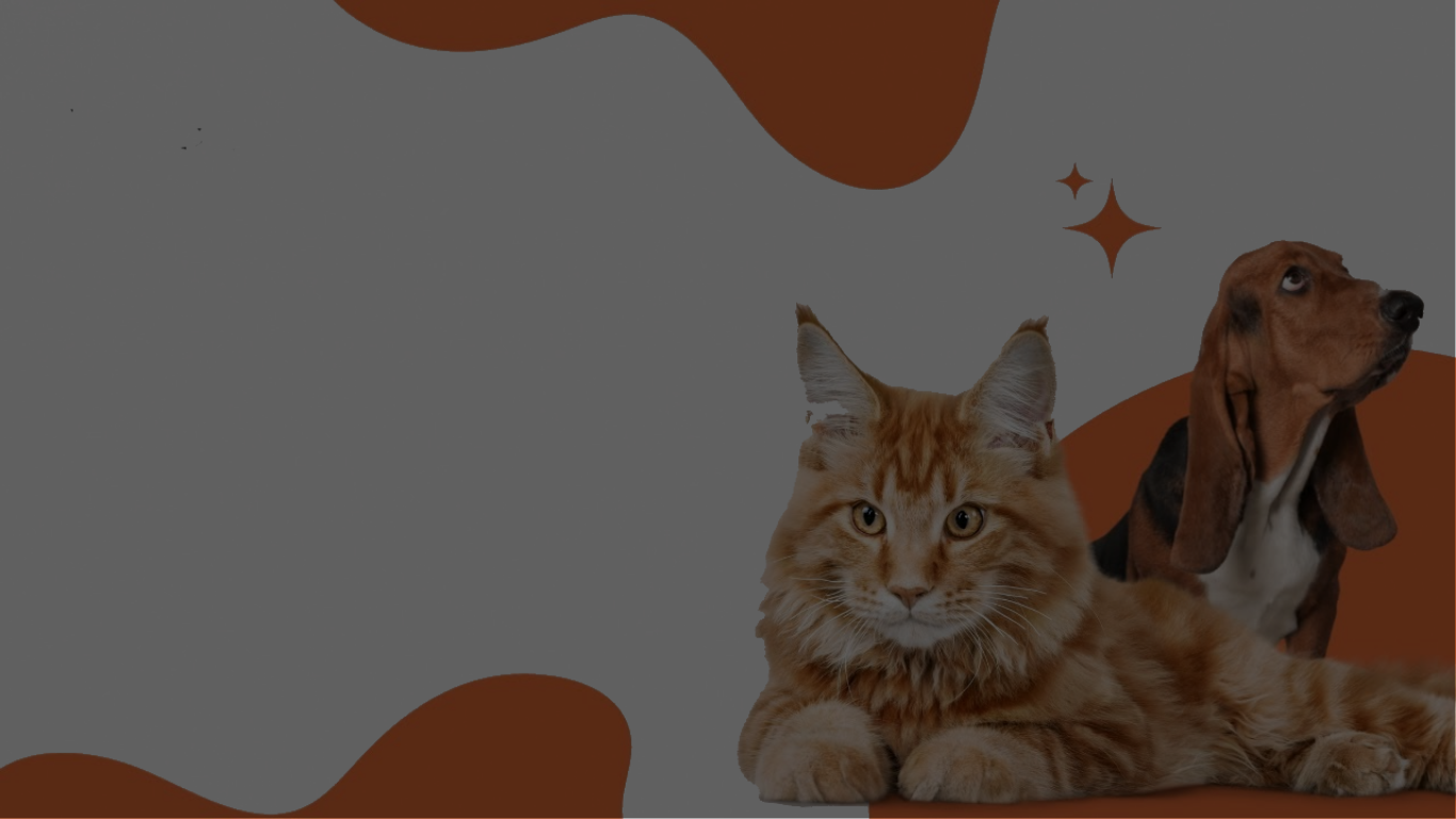 slider image slider_item_UFDiE4