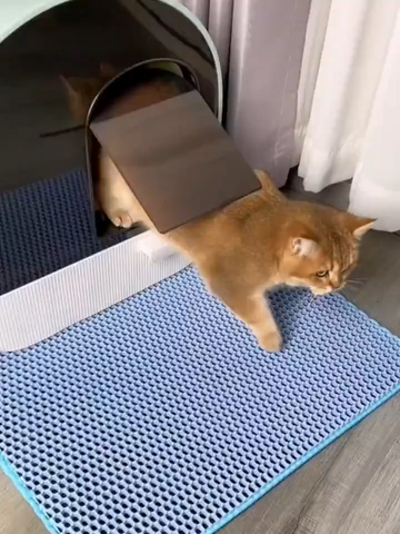 Cat Litter Mat Pet Solid Color Waterproof Cat Litter Mat Easy Clean Scatter Control Pets Supplies